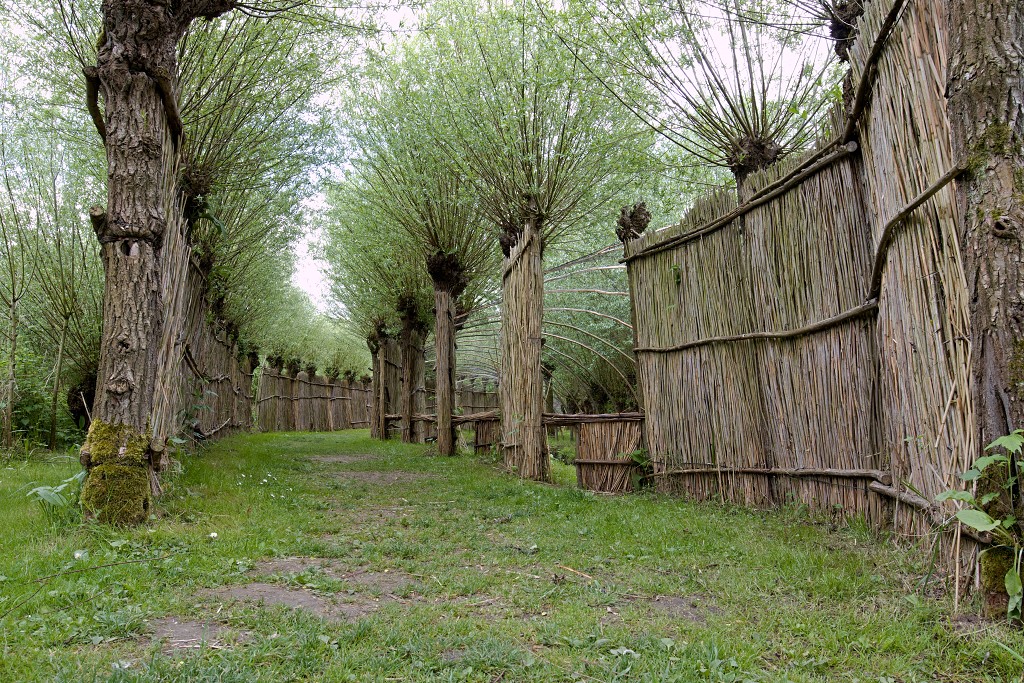 brabant biesbosch biesbos nationaal park natuurgebied natuur bevers eendenkooi rondvaart recreatie
